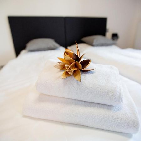 Exclusive Penzion Viva Residence Mladá Boleslav Exteriör bild